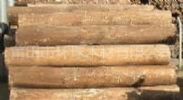 Import Logistics For Wood